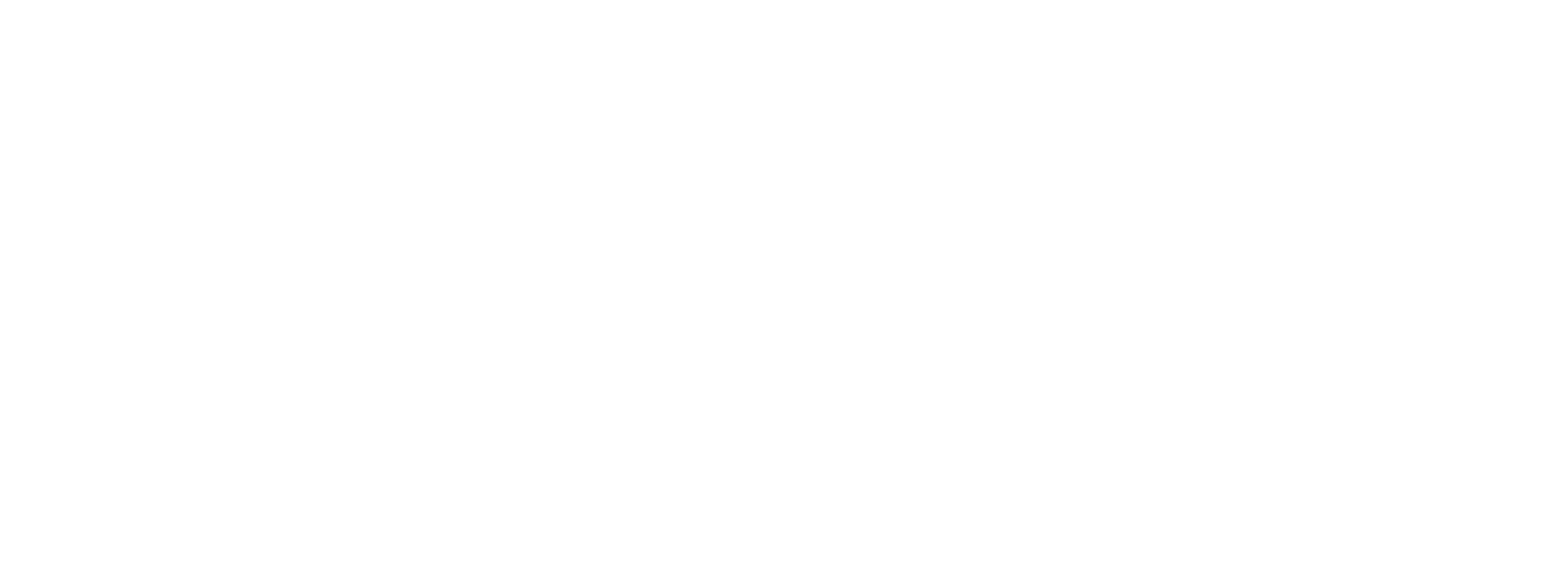 Player Properties